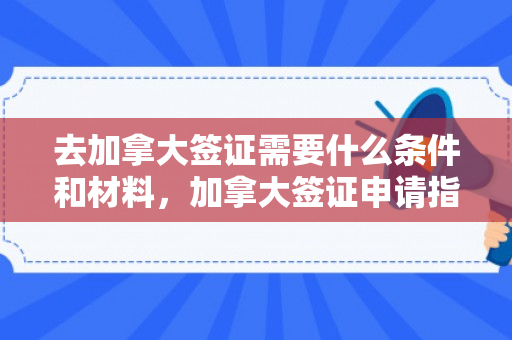去加拿大签证需要什么条件和材料，加拿大签证申请指南，所需条件与材料详解
