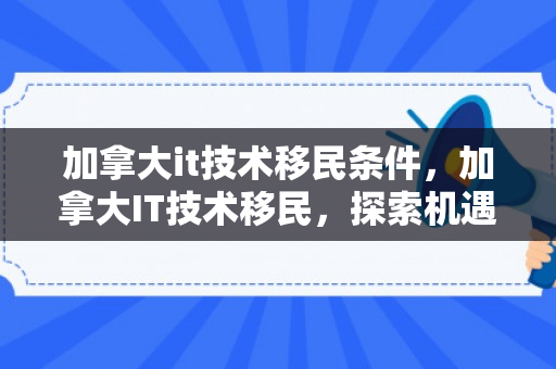 加拿大it技术移民条件，加拿大IT技术移民，探索机遇，实现梦想