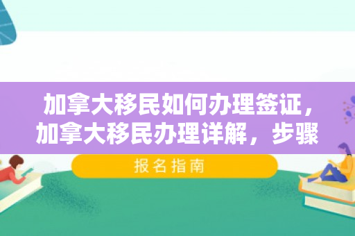 加拿大移民如何办理签证，加拿大移民办理详解，步骤、条件与策略