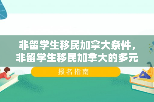 非留学生移民加拿大条件，非留学生移民加拿大的多元路径与机遇