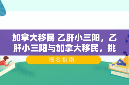 加拿大移民 乙肝小三阳，乙肝小三阳与加拿大移民，挑战与机遇并存