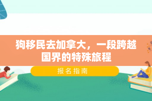 狗移民去加拿大，一段跨越国界的特殊旅程